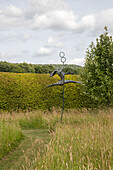 Juggling hare beside hedge in grass meadow Hampshire England UK