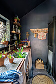 Plants in Belfast sink with salvaged worktops and paintwork in Off Black Welsh barn conversion UK