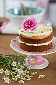 Lemon and poppy seed cake with daisies in West Sussex UK