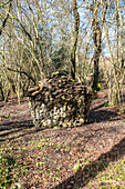 Holzstapel im Waldgebiet von Midhurst, West Sussex UK