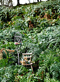 Holzstuhl und Vogelkäfig in Farn auf einem Hügel der Isle of Wight, UK