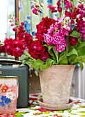 Rote Blumen in Terrakotta-Pflanztopf mit Radio und rosa Limonade in Isle of Wight home UK
