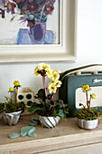 Primrose and radio on wooden sideboard with framed artwork in Isle of Wight home UK