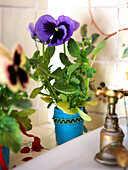 Purple pansy and brass tap in bathroom of Isle of Wight home UK