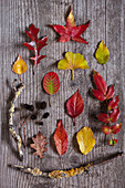 Assorted red Autumn leaves and sticks 
