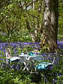 Tisch und Stühle für ein Picknick in einem Glockenblumenwald