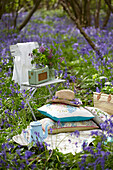 Sonnenhut und Kissen mit Radio auf einem Stuhl für ein Picknick im Blauglockenwald (Hyacinthoides non-scripta)