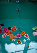 Vintage Blooms cut flowers floating in a turquiose bath