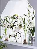 Osterfenster gefüllt mit Vasen mit weißen Blumen, darunter Hyazinthen, Magnolien und Narzissen