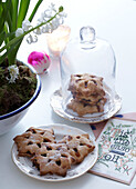 Hyacinth and plates of festive mincepies with glass belljar and greetings card
