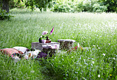 Picknick auf der Wiese mit Teppich, Kissen und Fingerhut