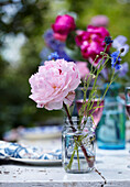 Spring summer feature celebrating the peony flower