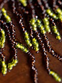 Yellow green and brown glass beaded tassel