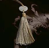 Neutral tassel displayed on a patterned silky cushion