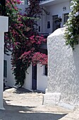 Straßen von Skiathos, Griechenland