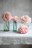 Still life of roses in vintage bottles