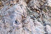 Rock climber with a prosthetic leg climbing a cliff