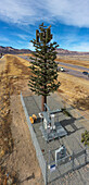 Communications tower disguised as tree, aerial photograph