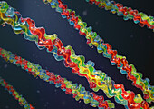 Collagen triple helix molecules, illustration