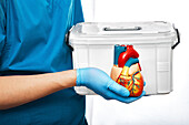 Donor heart, conceptual image