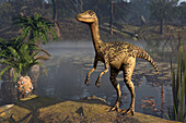 Procompsognathus dinosaur, illustration