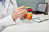 Cardiology consultation