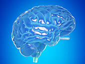 Illustration of a blue brain