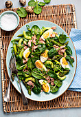 Lukewarm salad of green asparagus and tuna fish