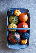 Different colored pumpkins in a zinc bowl with handle