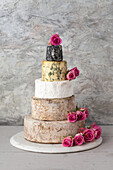 Cheese Wedding Cake - Käsesorten als mehrstöckige Hochzeitstorte arrangiert, mit Rosenblüten
