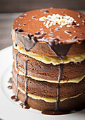 Multi-layered chocolate-banana cake