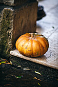 Pumpkin on the floor outside