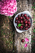 Bowl with red ripe cherries placed on wooden beam in rural area with colorful flower