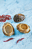 Raw limpets on a blue surface