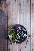 Sloe berries in small bowl and on wooden plate surrounded by sloe branches