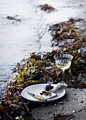 Teller mit frischen Muscheln am Strand umgeben von Algen
