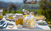 Mini lemon meringues and lemon curd on an outdoor table