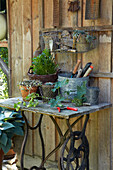 Garden table with plants and tools in front of wooden wall