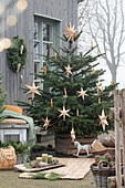 nordmann fir tree, decorated with wooden stars