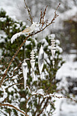 Christmas bauble hanging from branch