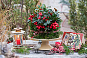 Christmas table decoration made of mock berries (Gaultheria procumbens)