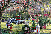 Weihnachtlich dekorierter Sitzplatz mit Laterne, Zuckerhutfichte (Picea glauca), Dekopilzen, Kranz und Skimmie (Skimmia) im Garten