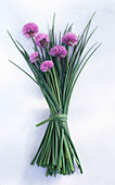 A bundle of chives with flowers