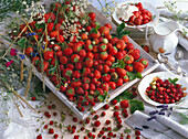 Holzschale mit frischen Erdbeeren daneben Milchkännchen und Sahne