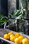 Wooden bowl with lemons