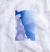A photo of a blue sky and bright light surrounded by white downy feathers