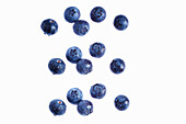 Some blueberries on a white background