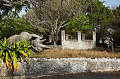 Tierskulpturen in ehemaligem Hotelgarten, Verlassenes Hotel am Diani Beach, Kenia, Ostafrika