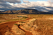 Typische Steppenlandschaft im Hochland, Königreich Lesotho, Südafrika