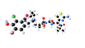 Cefiderocol antibiotic drug, molecular model